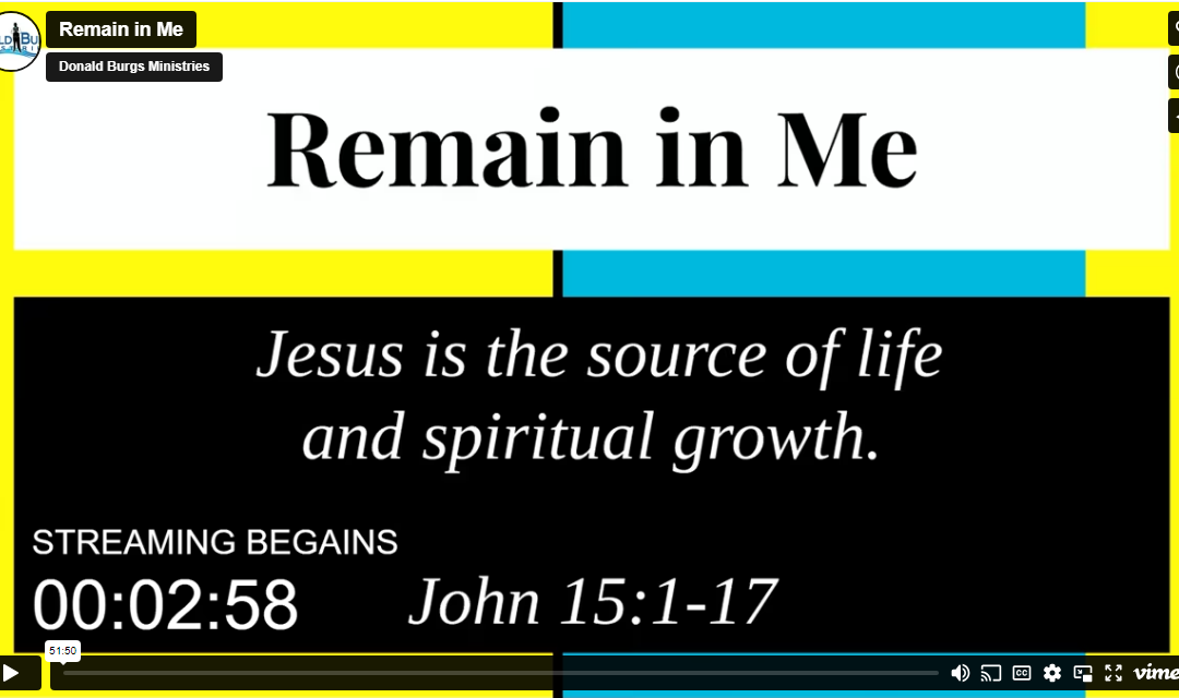 Remain In Me